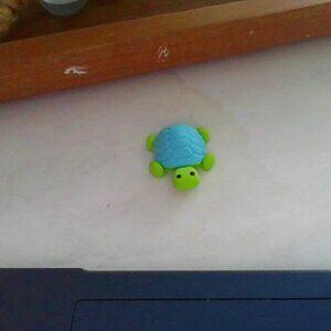 Turtle Eraser